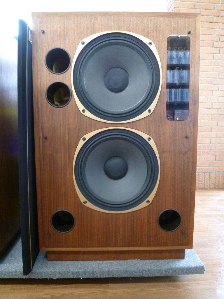 Tannoy Fsm