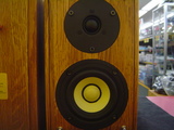 Pioneer/S-A4SPT-PM 2