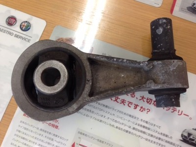 写真 1 (1)