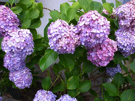 R0012160