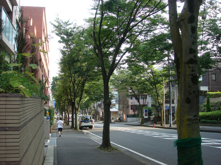 DSC02650