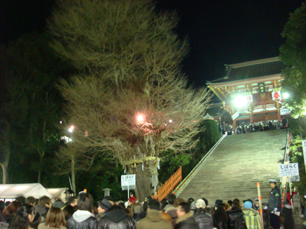 DSC03319