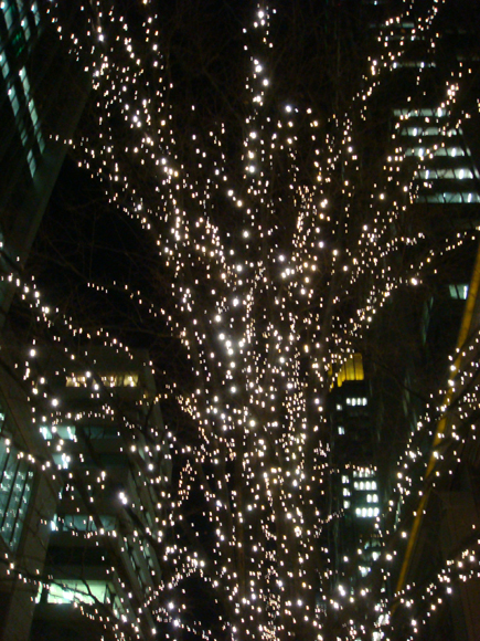 asada hiroyuki.com-08ginza1