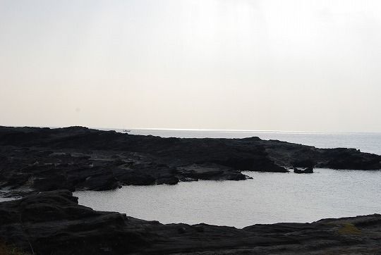DSC_0008