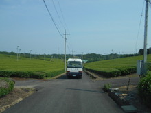 DSCN3638