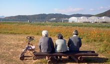 03