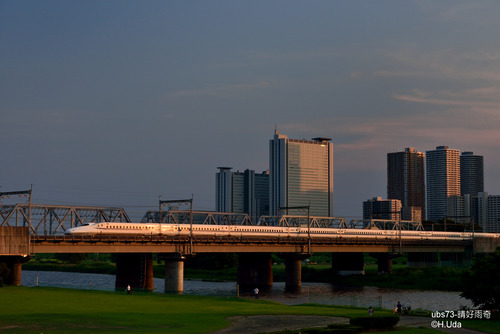 DSC_9131-1-1