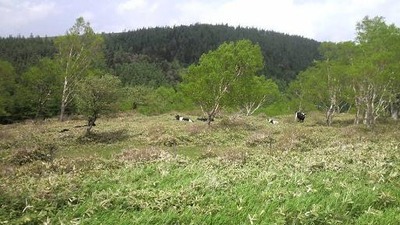 P1000939c