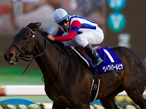 ◆　競馬　JRA　◆馬番ボールペン◆４本セット◆ヴィクトワールピサスクリーンヒー 7c6d6c0d-s.jpg