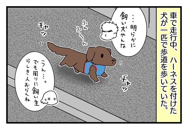 3627EC20-D441-4BEA-9674-A68A0FD9279E