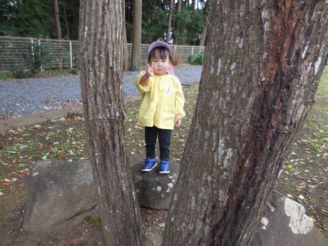 DSCN0115