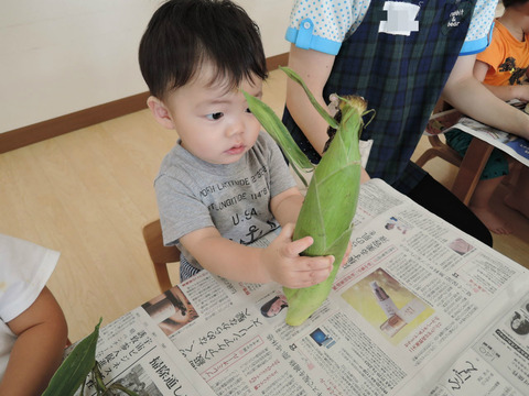 BlogPaint