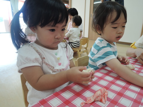 DSCN0678