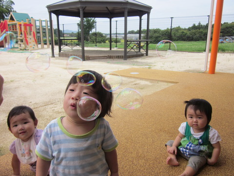 IMG_0001 (2)