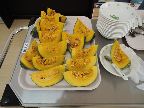 DSCN1406
