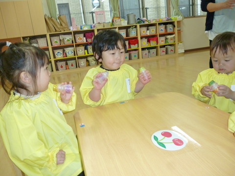 P1020485