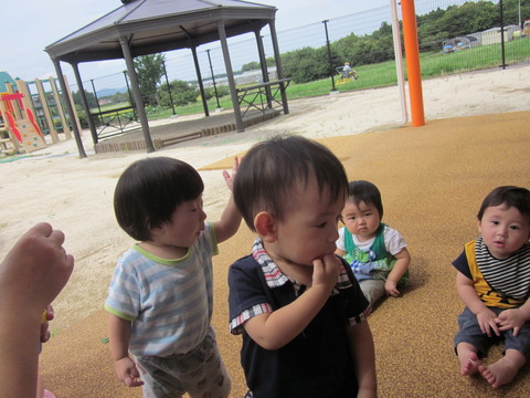 IMG_0005 (2)