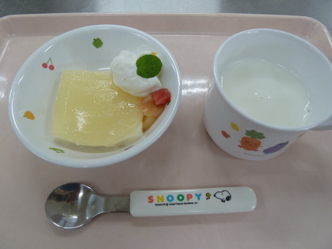 P1030245