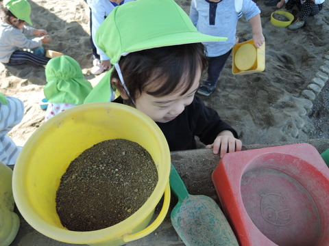 DSCN0966