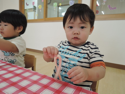 DSCN0679