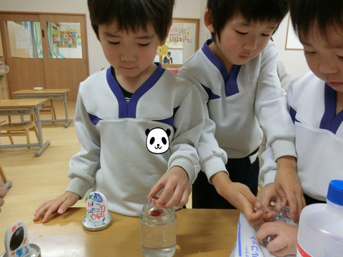 BlogPaint