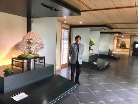 大宮盆栽美術館「竹山 浩」個展！ : 雨竹 盆栽 水石 便り