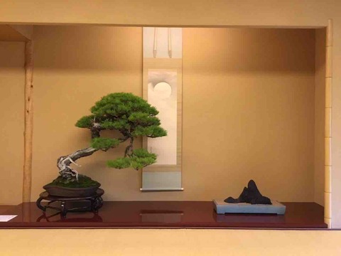 八芳園 盆栽水石の秀席！4席 : 雨竹 盆栽 水石 便り