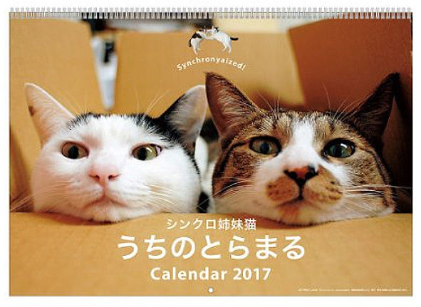 カレンダー