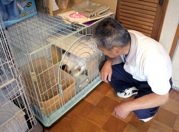 うちのとらまる