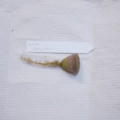 P1130413