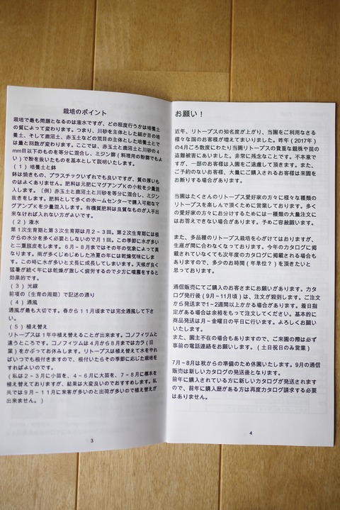 P1170860
