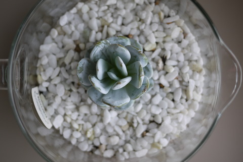 P1120292