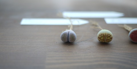 P1130450