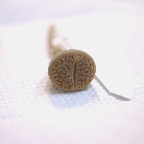 P1130414