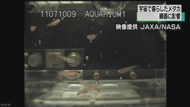 K10010303071_1511121524_1511121529_01_03