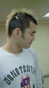 4041313a.jpg