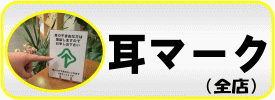lobby_tender_top_mimi