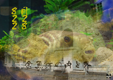 金魚鉢の内と外3