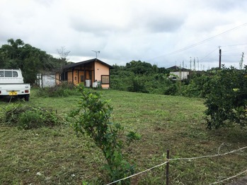 image1 (15)
