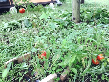 image2 (8)