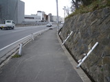 IMGP8026