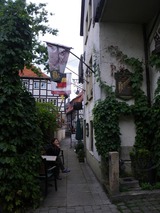 IMGP5112