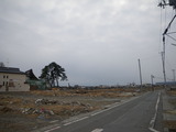 IMGP8005