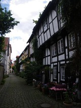 IMGP5130