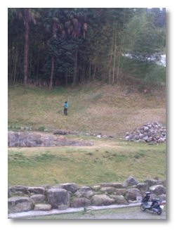 mini_130329_1456