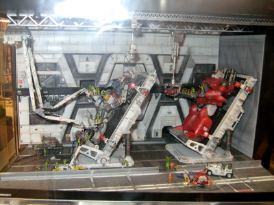 ara43