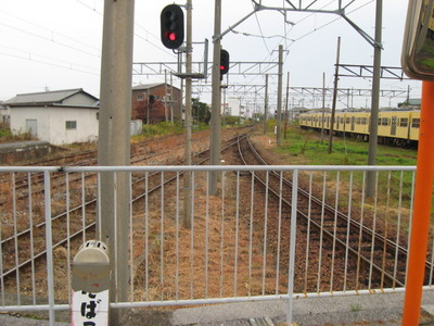 sg355