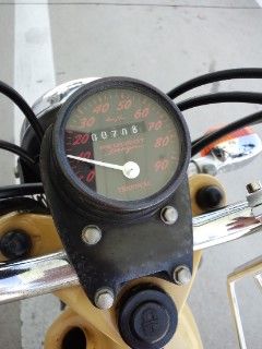 17289972.jpg