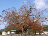 a8b3d52a.jpg