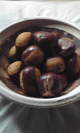 e45d88d0.jpg